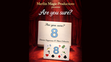 Are You Sure? | Damien Vappereau and Marc Céliandre