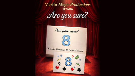 Are You Sure? | Damien Vappereau and Marc Céliandre