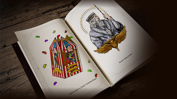 Harry Potter Self-Coloring Book | theory11