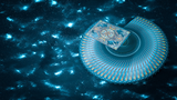 Zodiac (Cancer) Luminous Edition Playing Cards | TCC
