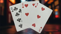Biker Dogs Playing Cards | Collectable Playing Cards