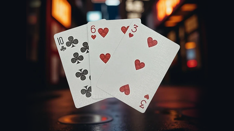 Biker Cats Playing Cards | Collectable Playing Cards