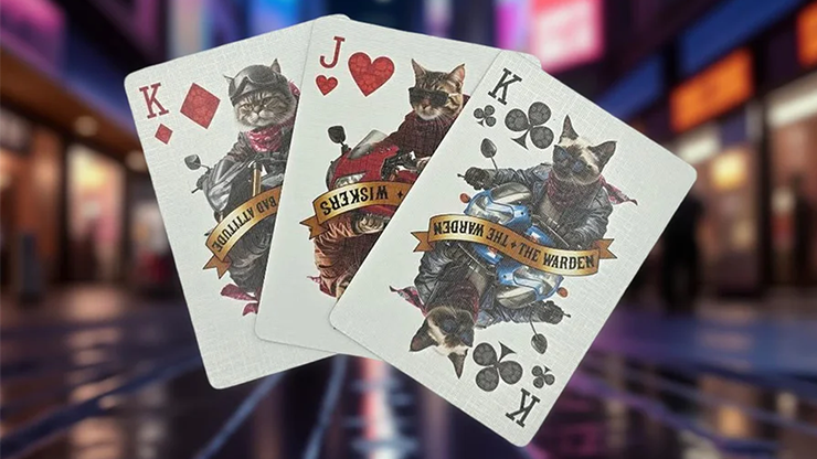 Biker Cats Playing Cards | Collectable Playing Cards