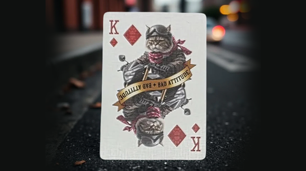 Biker Cats Playing Cards | Collectable Playing Cards