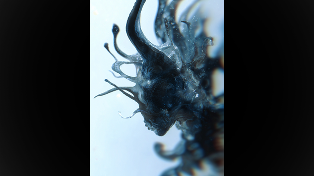 Progeny | Fraser Parker