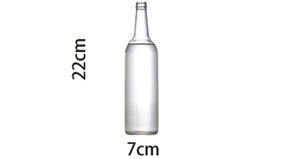 Self Exploding Transparent Beer Bottle (Small) | Wance