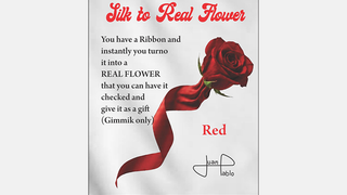 Silk to Real Flower (Red) | Juan Pablo