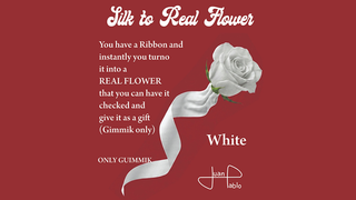 Silk to Real Flower (White) | Juan Pablo