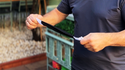 Silk Wand to Real Wand | Juan Pablo
