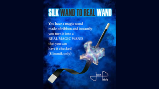 Silk Wand to Real Wand | Juan Pablo