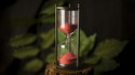 TIME | Yoan TANUJI & Magic Dream