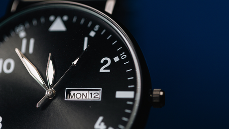 Standard R.W.W. Left Hand (Ben Seidman's Ring Watch Wonder)