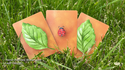 Lucky Ladybug (Leaf) | Joshua Ray & Deuce Gala Magic
