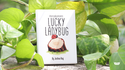Lucky Ladybug (Leaf) | Joshua Ray & Deuce Gala Magic