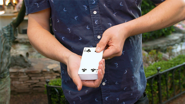 Stretch Deck | Kyle Purnell