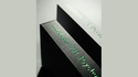 Reviver Playing Cards (Flx) Limited Edition | Bacon Magic