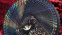 Trinity of Night - Werewolf HOLO Playing Cards | Evokad