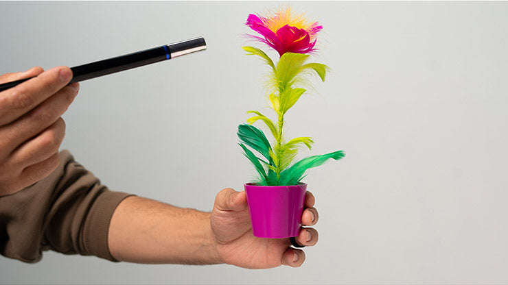 Miracle Wand to Flower | Murphy's Magic