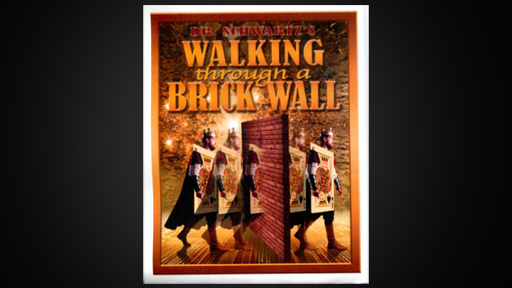 Walking Thru a Brick Wall | Martin Schwartz