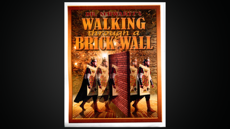 Walking Thru a Brick Wall | Martin Schwartz