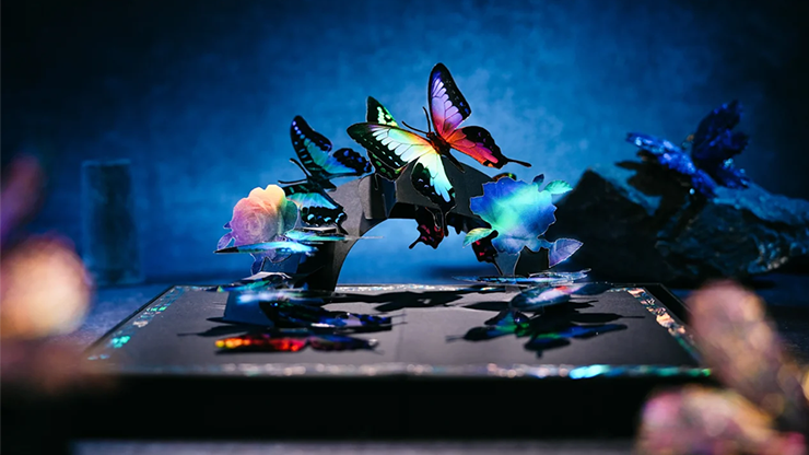 Morpho V2 Playing Cards Collection Boxset | TCC Fashion