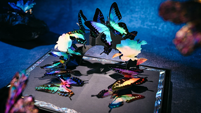 Morpho V2 Playing Cards Collection Boxset | TCC Fashion
