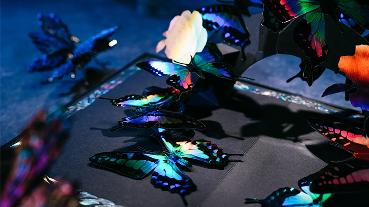 Morpho V2 Playing Cards Collection Boxset | TCC Fashion