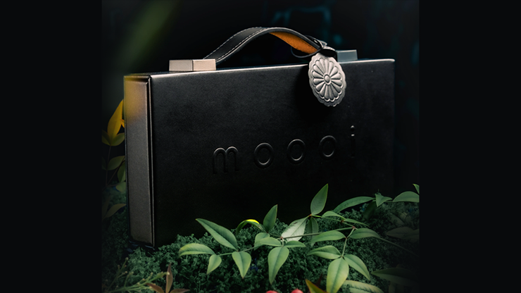 Mooi Collector's Edition BOXSET | theory11