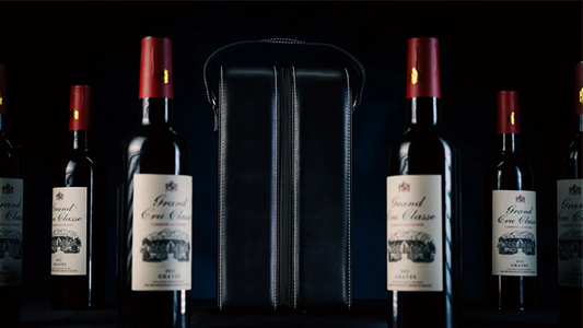 Miracle Wine Bottles Carrying Bag | TCC