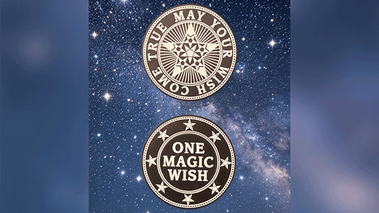 Giveaway Magic Wishing Coins (20 Plastic Coins) | Alan Wong