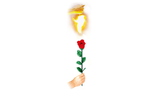 Instant Rose | Vincenzo DiFatta