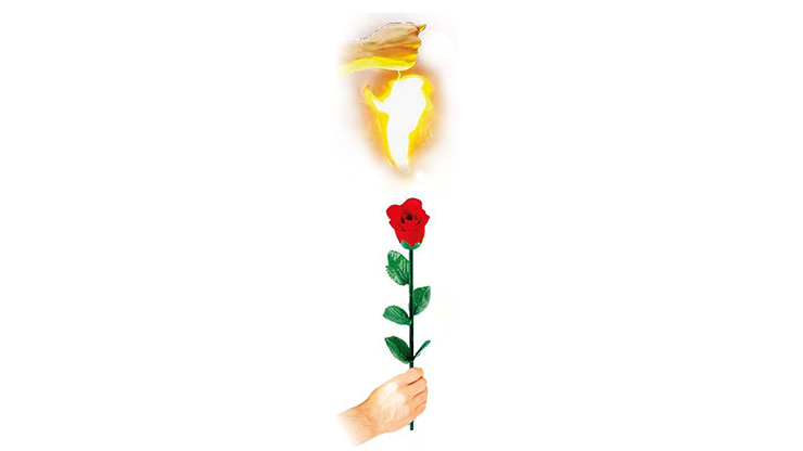 Instant Rose | Vincenzo DiFatta