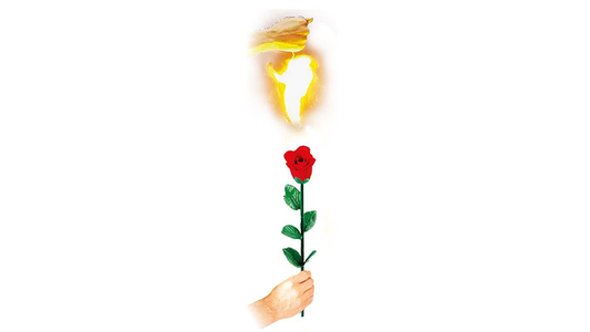 Instant Rose | Vincenzo DiFatta