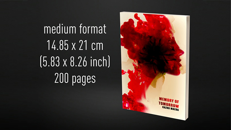 Babel Book Test 4 | Vincent Hedan (Memory of tomorrow), medium, 600 pages