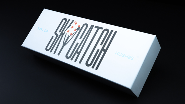 Sky Catch | Taylor Hughes