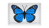 Omni Butterfly | Hyde Ren & Bacon Magic