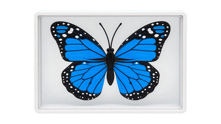 Omni Butterfly | Hyde Ren & Bacon Magic
