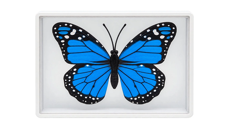 Omni Butterfly | Hyde Ren & Bacon Magic