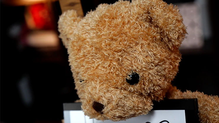 Teddy Unframed | Bond Lee & JC Magic
