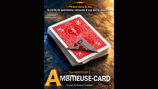 IMPOSSIBLE AMBITIEUSE CARD (RED) | Mickael Chatelain