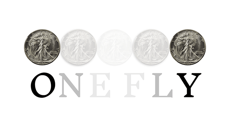 OneFly | Pieter Hofstra - Video Download