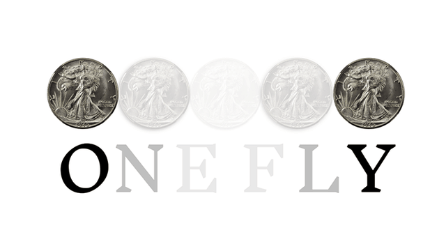 OneFly | Pieter Hofstra - Video Download