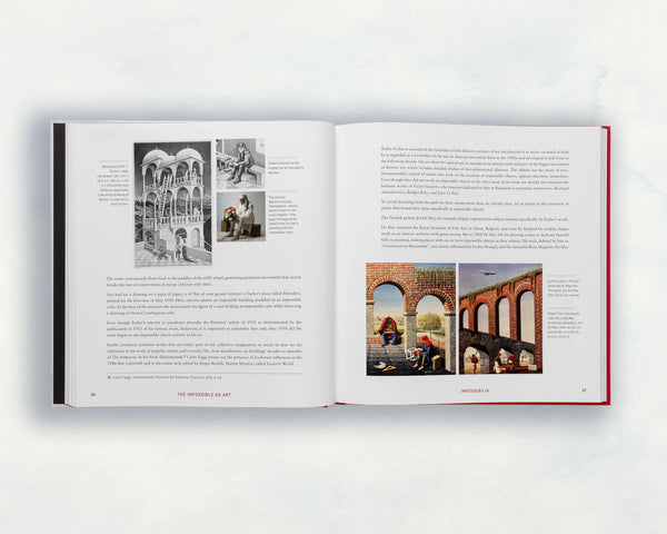 Impossibilia | Davide Fumagalli