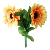 Amazing Split Sunflower | Premium Magic 