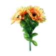 Amazing Split Sunflower | Premium Magic 