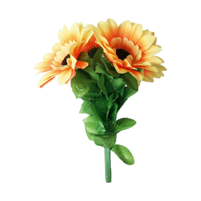 Amazing Split Sunflower | Premium Magic 