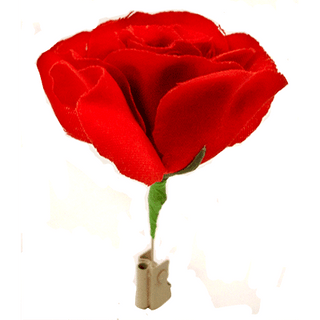 Match to Rose | Mr. Magic 