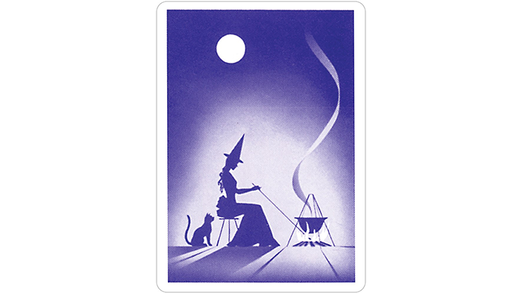 Gypsy Witch Fortune Telling Playing Cards