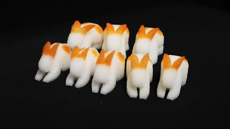 3D Rabbit Set | Goshman