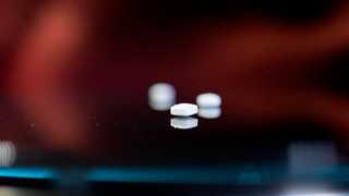 Refills for Movemint (3 Stück, magnetisch)